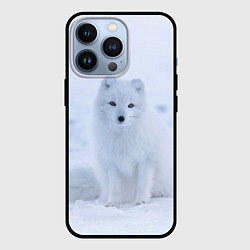 Чехол для iPhone 13 Pro Белоснежный Песец, цвет: 3D-черный