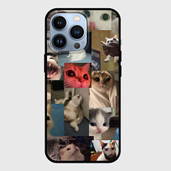 Чехол для iPhone 13 Pro Мемные котики, цвет: 3D-черный