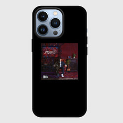 Чехол iPhone 13 Pro SEEMEE - holod72