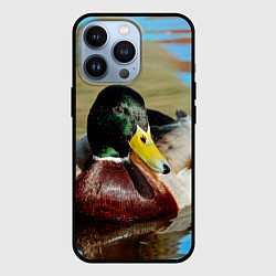 Чехол для iPhone 13 Pro Утка Кряква - селезень, цвет: 3D-черный