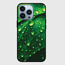 Чехол для iPhone 13 Pro Утренняя роса, цвет: 3D-черный