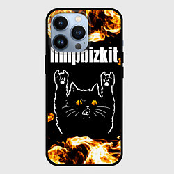 Чехол для iPhone 13 Pro Limp Bizkit рок кот и огонь, цвет: 3D-черный
