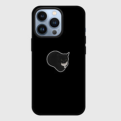 Чехол для iPhone 13 Pro Кот Максвелл, цвет: 3D-черный