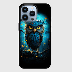 Чехол для iPhone 13 Pro Halloween - ночная сова, цвет: 3D-черный