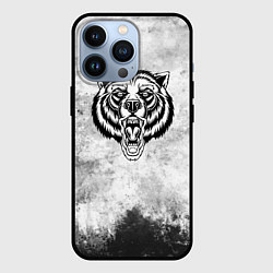 Чехол для iPhone 13 Pro Texture - медведь в ярости, цвет: 3D-черный