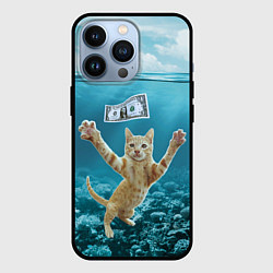 Чехол для iPhone 13 Pro Nirvana Cat, цвет: 3D-черный