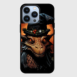 Чехол для iPhone 13 Pro Повелитель снежинок, цвет: 3D-черный