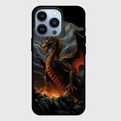 Чехол для iPhone 13 Pro Дракон метельных бурь, цвет: 3D-черный