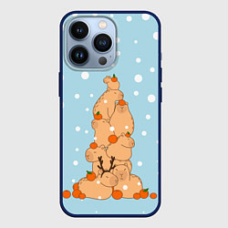 Чехол для iPhone 13 Pro Гора капибара в снегу, цвет: 3D-тёмно-синий