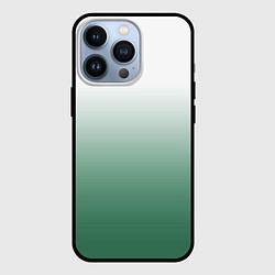 Чехол iPhone 13 Pro Туманный градиент бело-зелёный