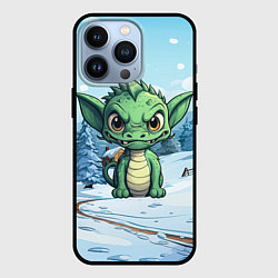 Чехол для iPhone 13 Pro Маленький зеленый забавный дракон, цвет: 3D-черный