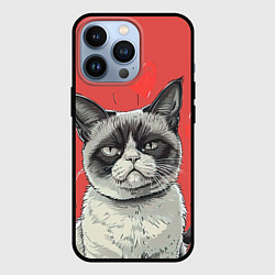 Чехол для iPhone 13 Pro Недовольный кот на день святого Валентина, цвет: 3D-черный