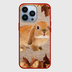 Чехол iPhone 13 Pro Рыжий кролик