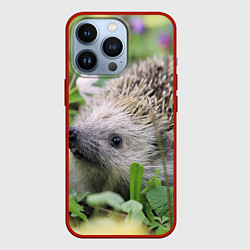 Чехол для iPhone 13 Pro Лесной ёжик в траве, цвет: 3D-красный