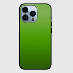 Чехол для iPhone 13 Pro Градиент яблочный зелёный, цвет: 3D-черный