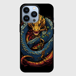 Чехол для iPhone 13 Pro Желто-синий дракон муай-тай, цвет: 3D-черный