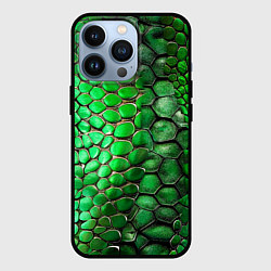 Чехол для iPhone 13 Pro Зеленая змеиная кожа, цвет: 3D-черный