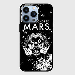 Чехол для iPhone 13 Pro Thirty Seconds to Mars рок пес, цвет: 3D-черный