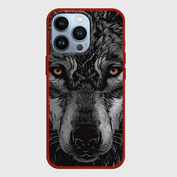 Чехол для iPhone 13 Pro Морда грустного волка, цвет: 3D-красный