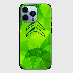 Чехол для iPhone 13 Pro Citroen green poly, цвет: 3D-черный