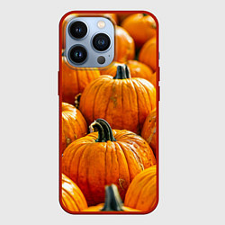 Чехол для iPhone 13 Pro Много тыкв, цвет: 3D-красный