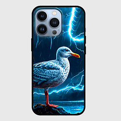 Чехол для iPhone 13 Pro Чайка и молния, цвет: 3D-черный