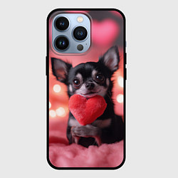 Чехол iPhone 13 Pro Чихуахуа с сердечком