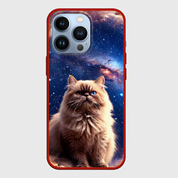 Чехол iPhone 13 Pro Гималайская кошка в космосе