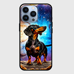 Чехол iPhone 13 Pro Такса в космосе