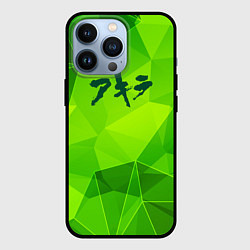 Чехол для iPhone 13 Pro Akira green poly, цвет: 3D-черный
