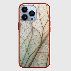 Чехол для iPhone 13 Pro Прожилки листика, цвет: 3D-красный