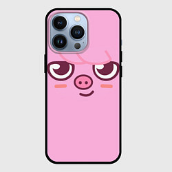 Чехол для iPhone 13 Pro Dwaekki skzoo, цвет: 3D-черный