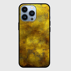 Чехол для iPhone 13 Pro Золотая ржавая текстура, цвет: 3D-черный