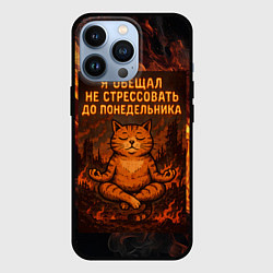 Чехол для iPhone 13 Pro Я обещал не стрессовать до понедельника - кот поср, цвет: 3D-черный