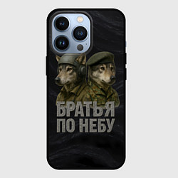 Чехол iPhone 13 Pro Братья по небу ВДВ волки