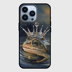 Чехол для iPhone 13 Pro Акварельная Царевна-лягушка и капля, цвет: 3D-черный