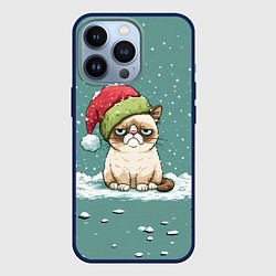 Чехол iPhone 13 Pro Недовольный новогодний котик