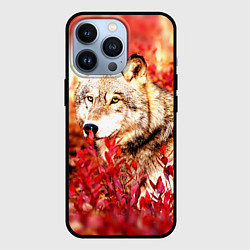 Чехол для iPhone 13 Pro Осенний волк, цвет: 3D-черный