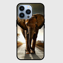 Чехол для iPhone 13 Pro Дикий слон, цвет: 3D-черный