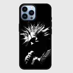 Чехол для iPhone 14 Pro Max Король и Шут Анархия спина, цвет: 3D-черный