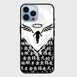 Чехол для iPhone 14 Pro Max WALHALLA TEAM ИЕРОГЛИФЫ TOKYO REVENGERS, цвет: 3D-черный