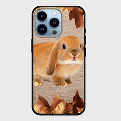 Чехол для iPhone 14 Pro Рыжий кролик, цвет: 3D-черный