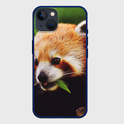 Чехол для iPhone 14 Красная милая панда, цвет: 3D-тёмно-синий
