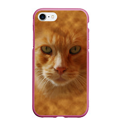 Чехол iPhone 7/8 матовый Рыжий котик, цвет: 3D-малиновый
