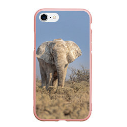 Чехол iPhone 7/8 матовый Африканский белый слон