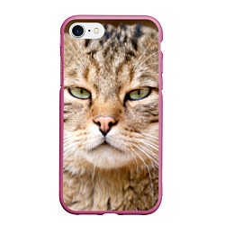 Чехол iPhone 7/8 матовый Взгляд кошки