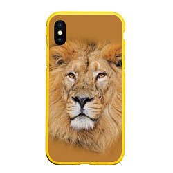 Чехол iPhone XS Max матовый Царский лев, цвет: 3D-желтый