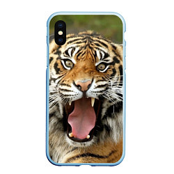 Чехол iPhone XS Max матовый Удивленный тигр, цвет: 3D-голубой