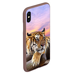 Чехол iPhone XS Max матовый Тигр на закате, цвет: 3D-коричневый — фото 2
