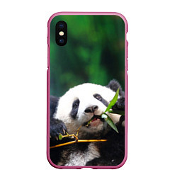 Чехол iPhone XS Max матовый Панда на ветке